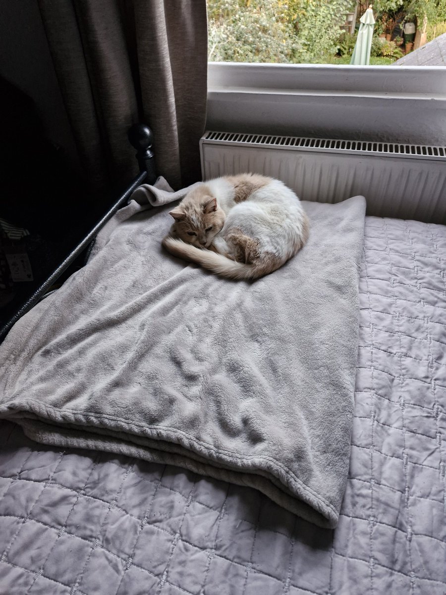 Lainey Watson-Hoyle tweet media