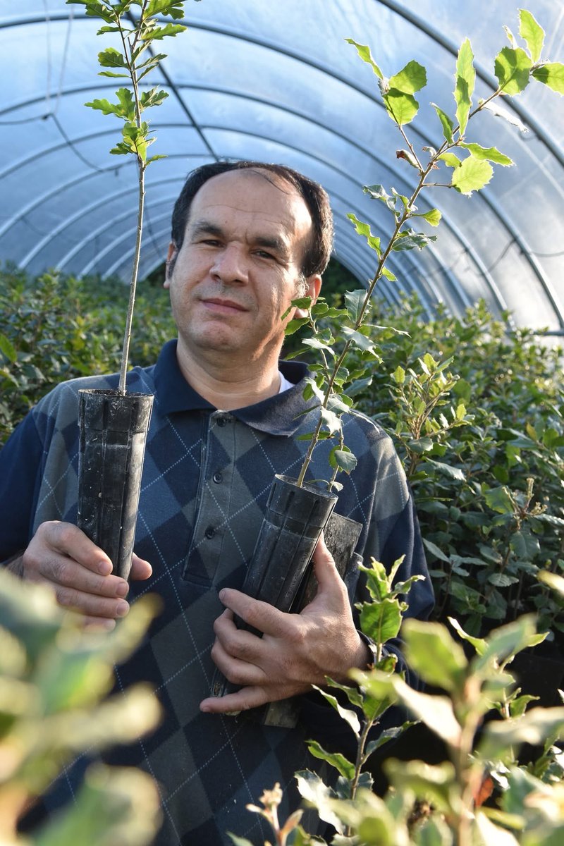 AlpineTruffle's tweet photo. Truffle Farming in the U.S.? Many try. Few succeed.
At Alpine Truffle LLC, we grow perfect, contaminant-free truffle trees — from acorn to harvest in just 6 years. Success isn’t magic; it starts with quality.
#TruffleFarming #AlpineTruffle #Mycorrhizae #HighQualityTrees https://t.co/3DqvUAigig