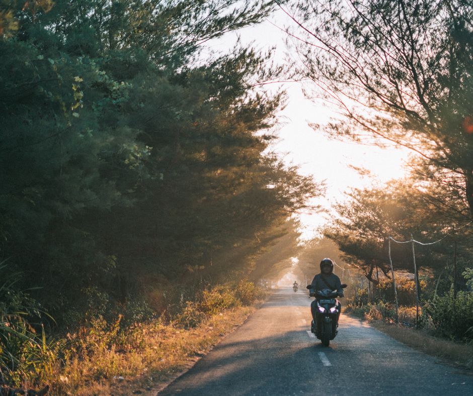RideParadiseNZ's tweet image. There’s something about an empty backroad at sunrise — no traffic, no noise, just the hum of the engine and the day ahead. 🌲
That’s the kind of freedom New Zealand roads offer — and the kind of ride we live for at Paradise Motorcycle Tours. 🏍️

🔗 paradisemotorcycletours.co.nz