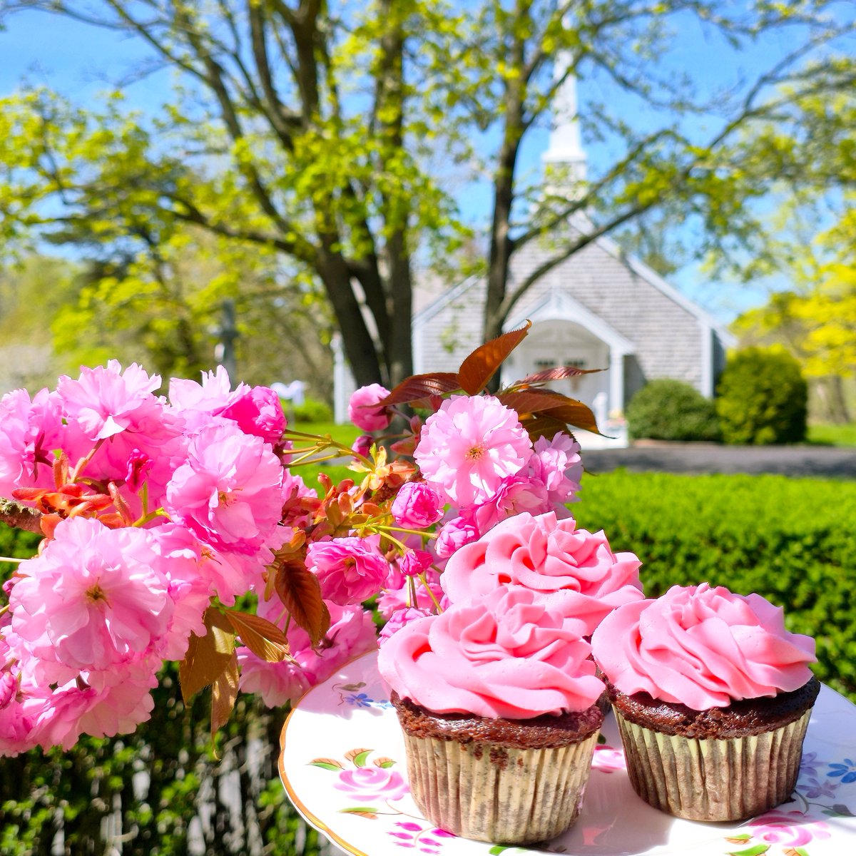 NEinnkeeper's tweet photo. Innkeeper Charlene M. Taubert's Dark Chocolate Cupcakes with Pink Buttercream Blossoms.

#candleberryinn #capecod #newenglandinnkeeper #TAUBERT #brewsterMA https://t.co/NoeNvBq7Sw