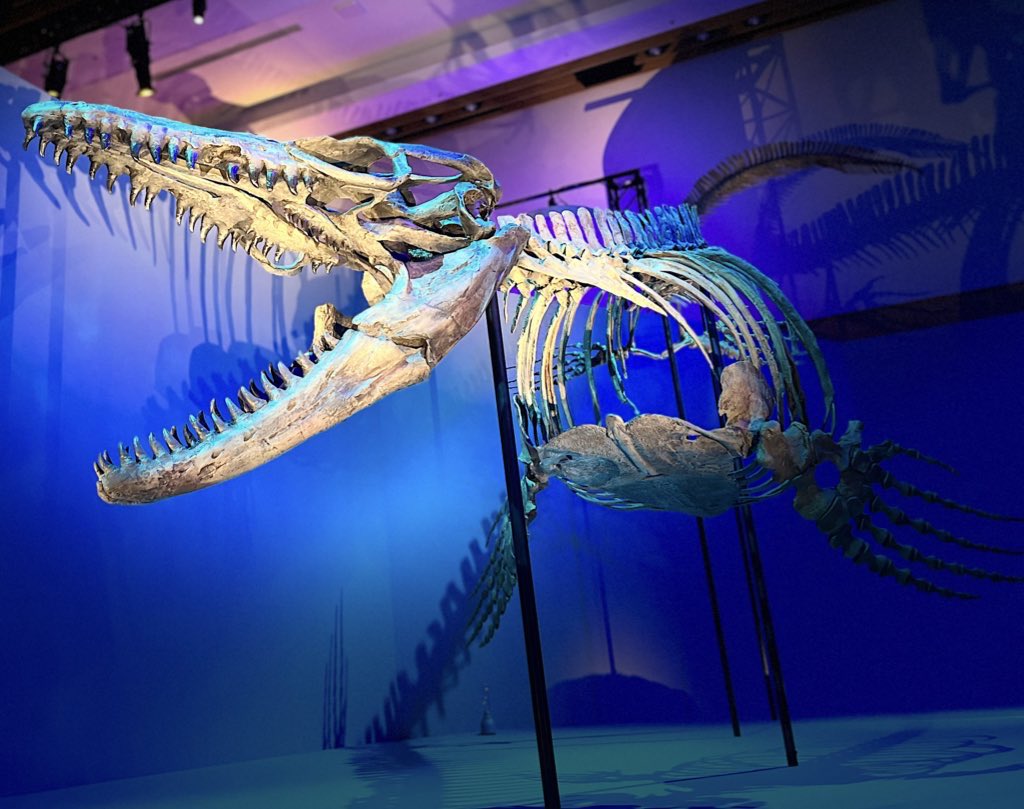 StarPredator247's tweet image. #無言で我ながらカッコいいと思う写真を載せる