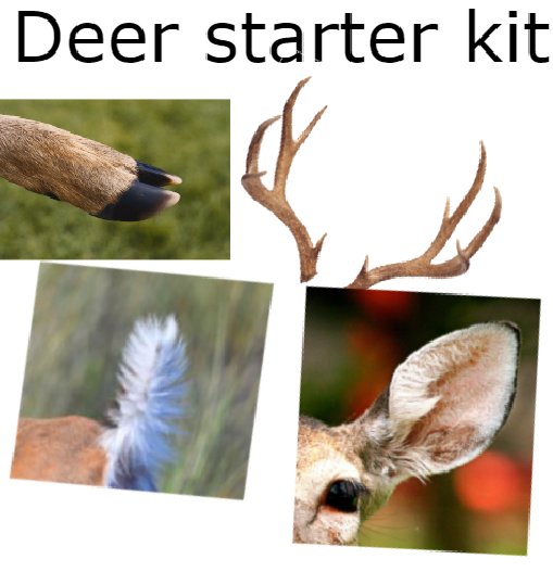 Deer in Places they Shouldn't Be (@deershouldnt) on Twitter photo 