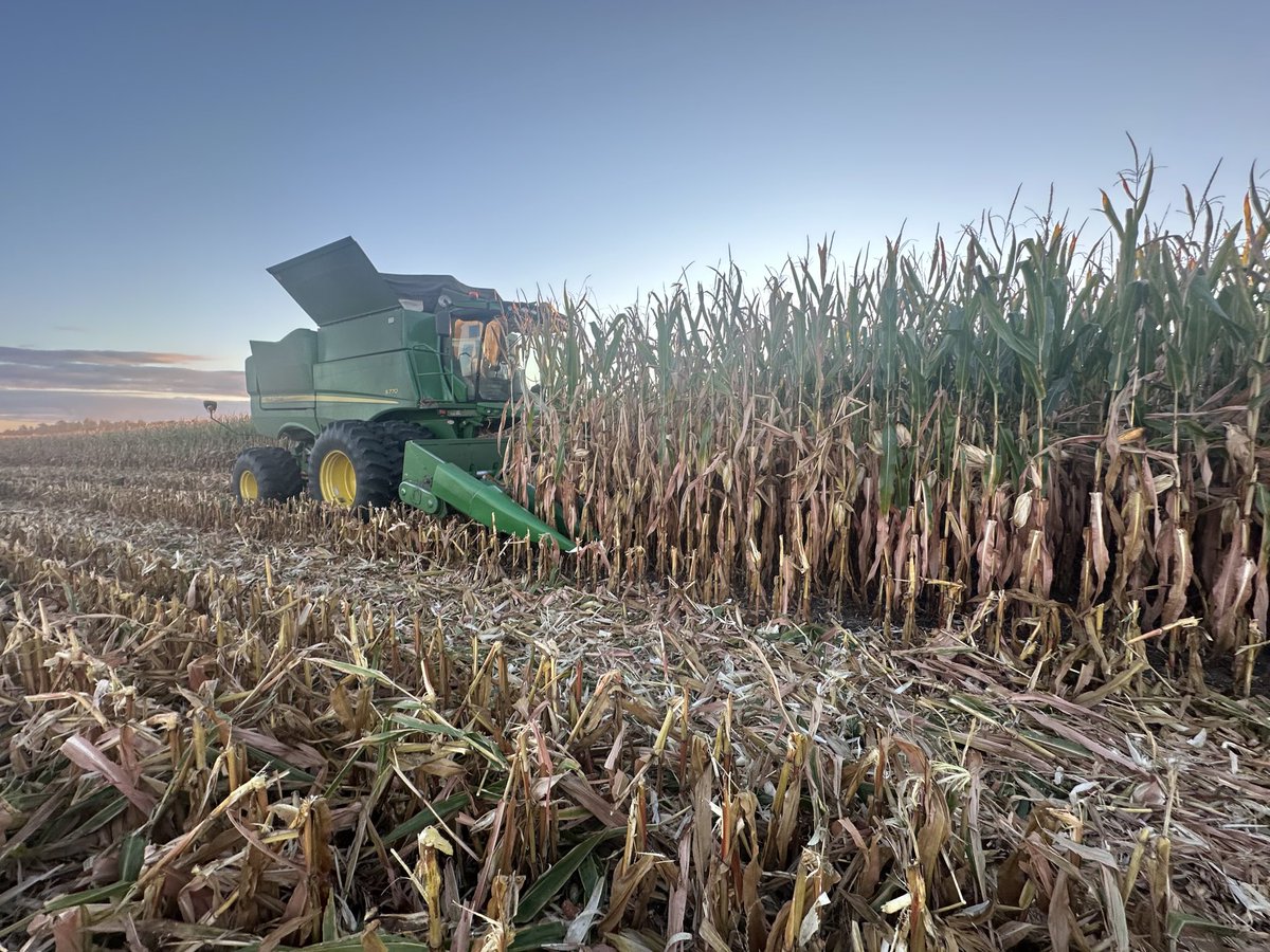 George Cornelissen tweet media