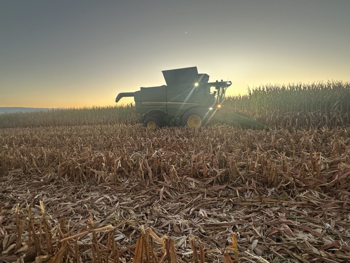 George Cornelissen tweet media