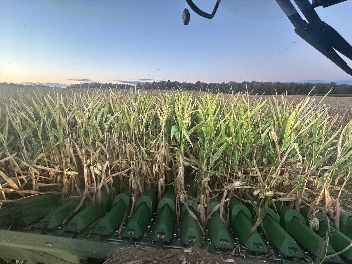 George Cornelissen tweet media