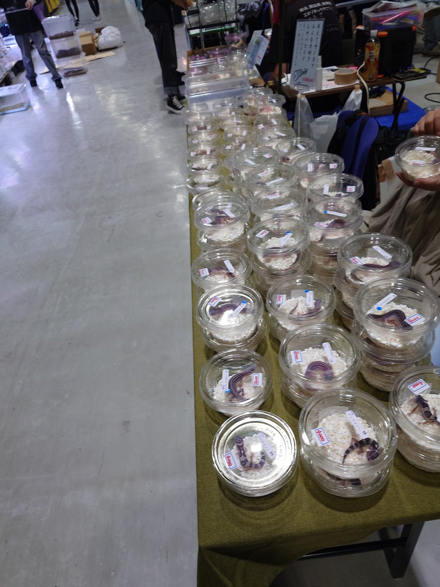 時はきたっ…それだけだ
ポップ、本家には事後承諾済（笑）
まあ、がんがります