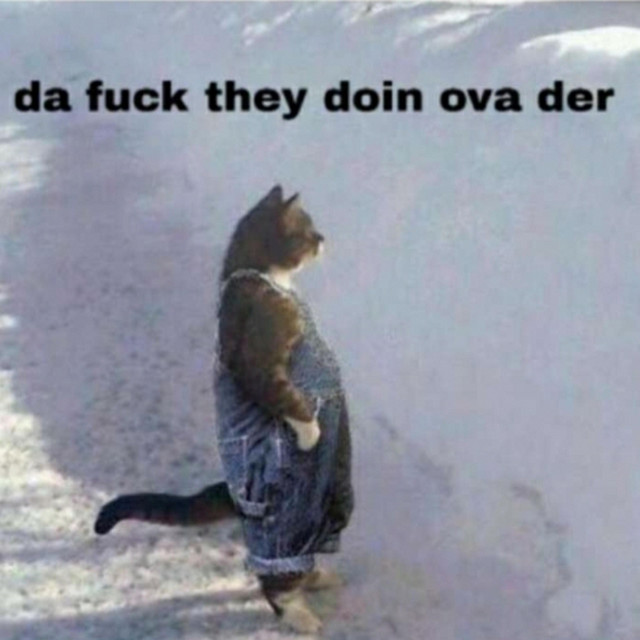 How it feels watching the Google docs fly as a small streamer