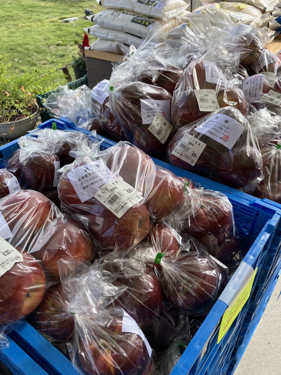 秋映ページ♡ 红豆菠萝包yyds on X