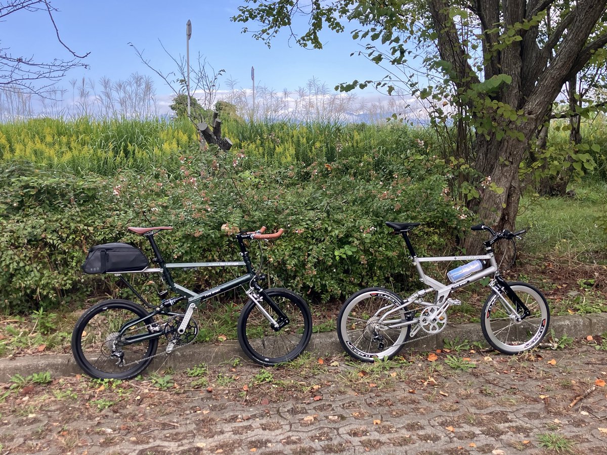 ٩DoRa۶ (@date_a_dora) on Twitter photo 