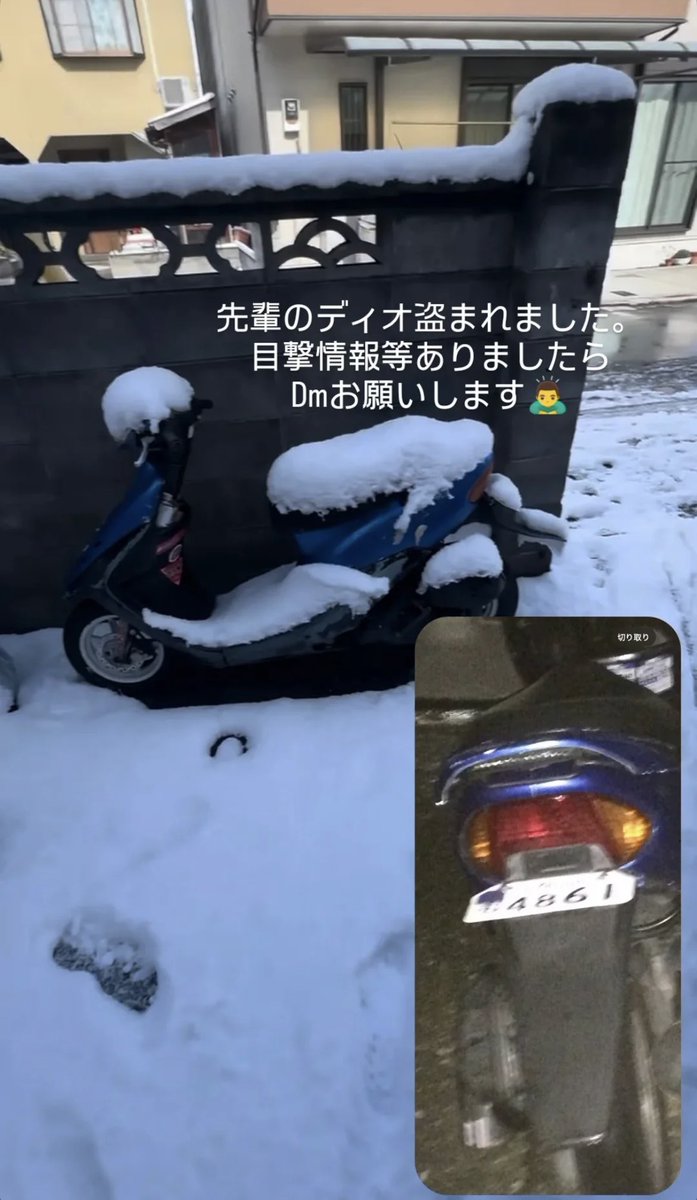 ハチわん！🐶🐕 tweet media