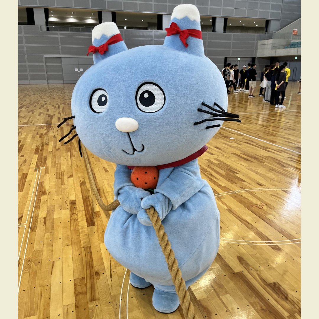 shizunavi's tweet image. しずな~びが参加した競技は・・・
綱引きなび❣(๑ᴖωᴖ๑)/
足は踏ん張ったなびけど、手がツルツル滑って
うまく引っ張れなかったなび(´・ω・`)💦笑
しずな~びの手は綱を引く用ではないことが
わかったなび。゚(゚`ω´ ゚)゚。
#しずなび #しずな~び #ゆるキャラ #静岡県 #不動産