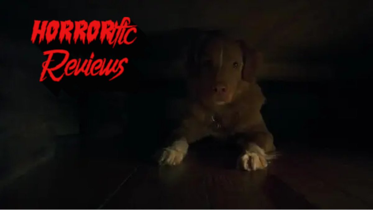 HorrorificThe's tweet photo. Join Colin as he dissects Good Boy (2025), a chilling indie horror gem that masterfully builds unrelenting dread through its suffocating atmosphere and subtle psychological tension. https://t.co/GFILKGdmp4 #GoodBoy2025 #IndieHorror #HorrorAnalysis #AtmosphericDread #ModernHorror https://t.co/P8Faa6IMLb