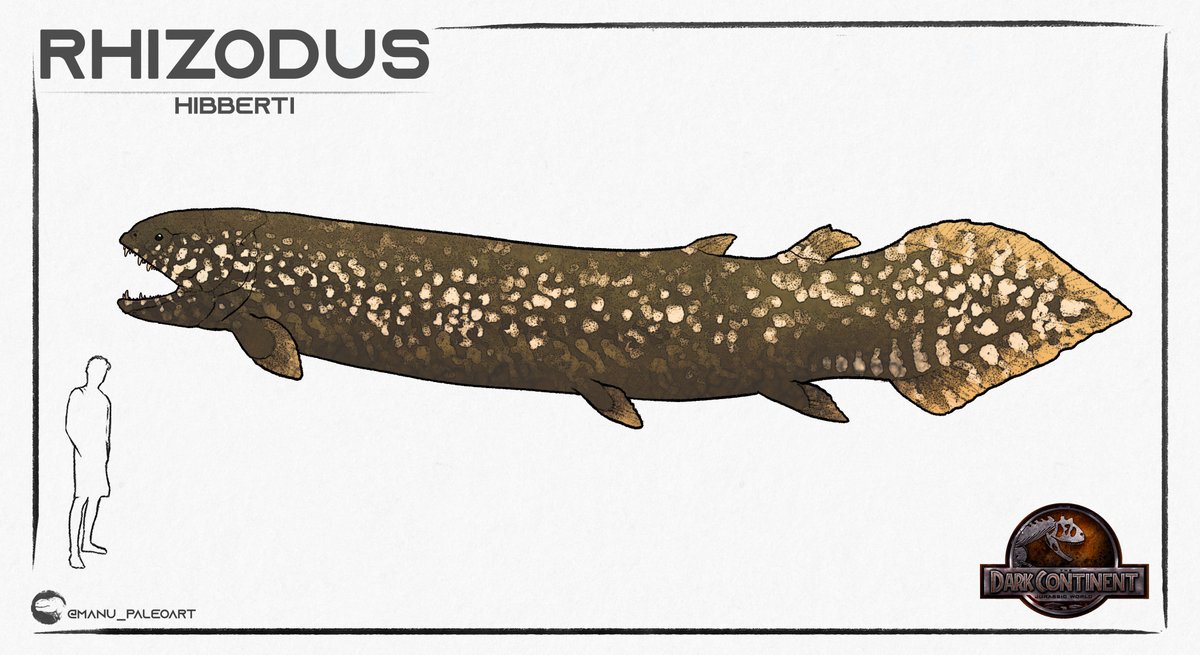 🚨Check Out The Stylized Design For The Female Rhizodus In My Novel Primeval: The Dark Continent 🚨
•
🔍 Load In 4K To See The Full Detail 
•
✍🏻 Commissioned By: <a href="/MDinoart/">Manu_Paleoart</a>