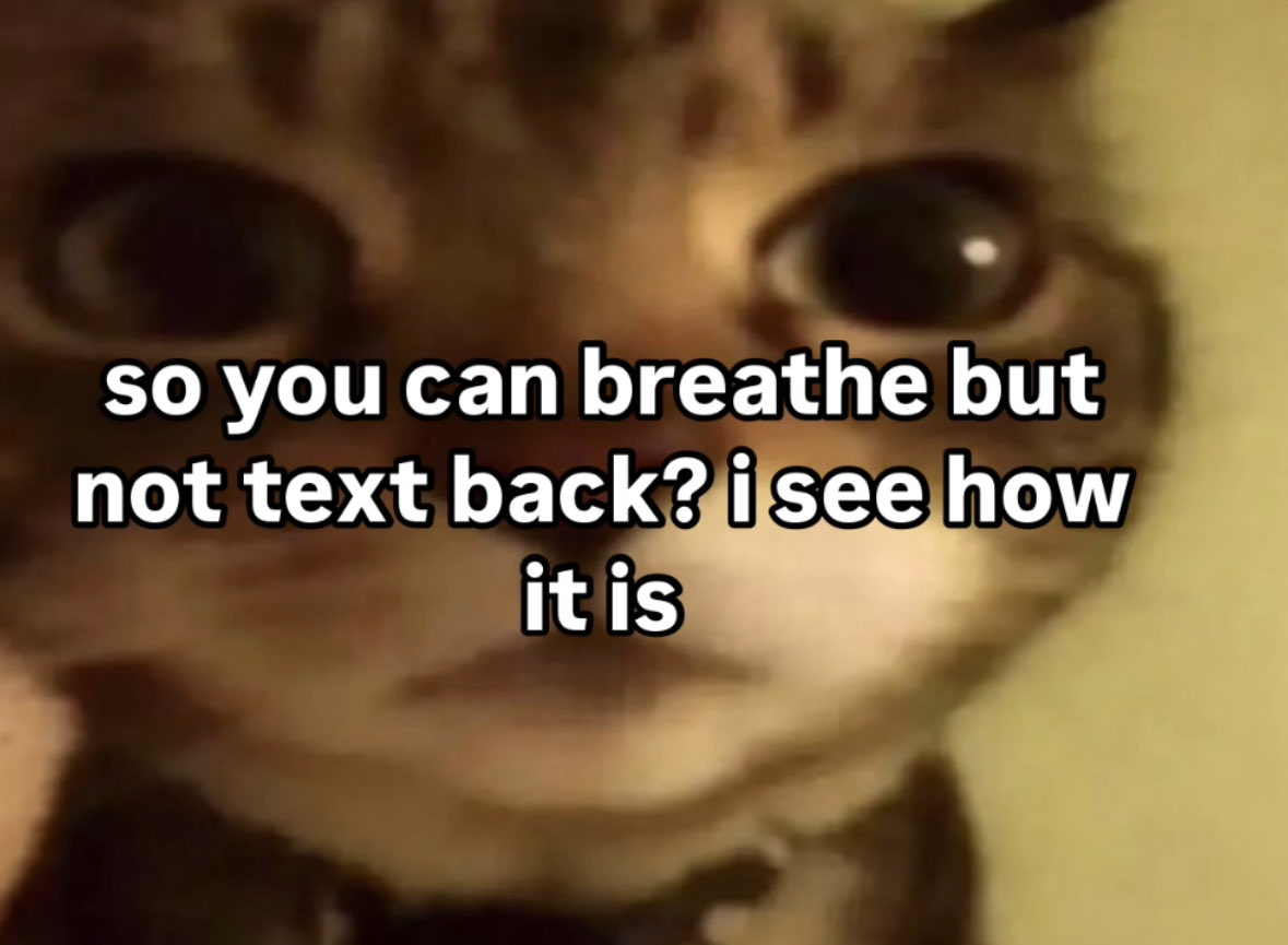 literallymecats's tweet photo. https://t.co/5dYbGaIQn6