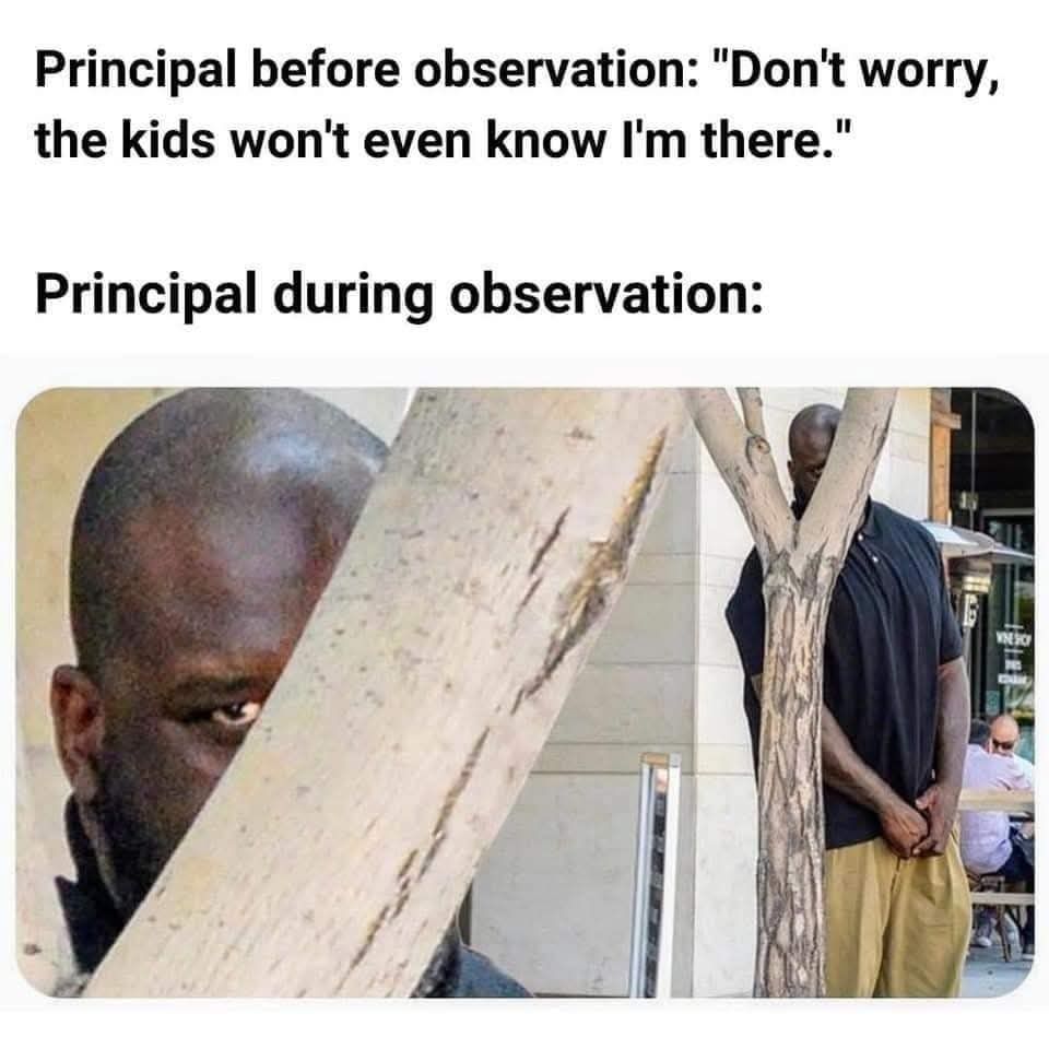 HelpATeacher's tweet image. Yup.