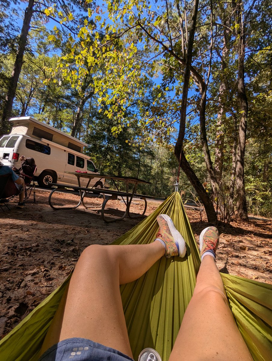 Kari Bruhn tweet media