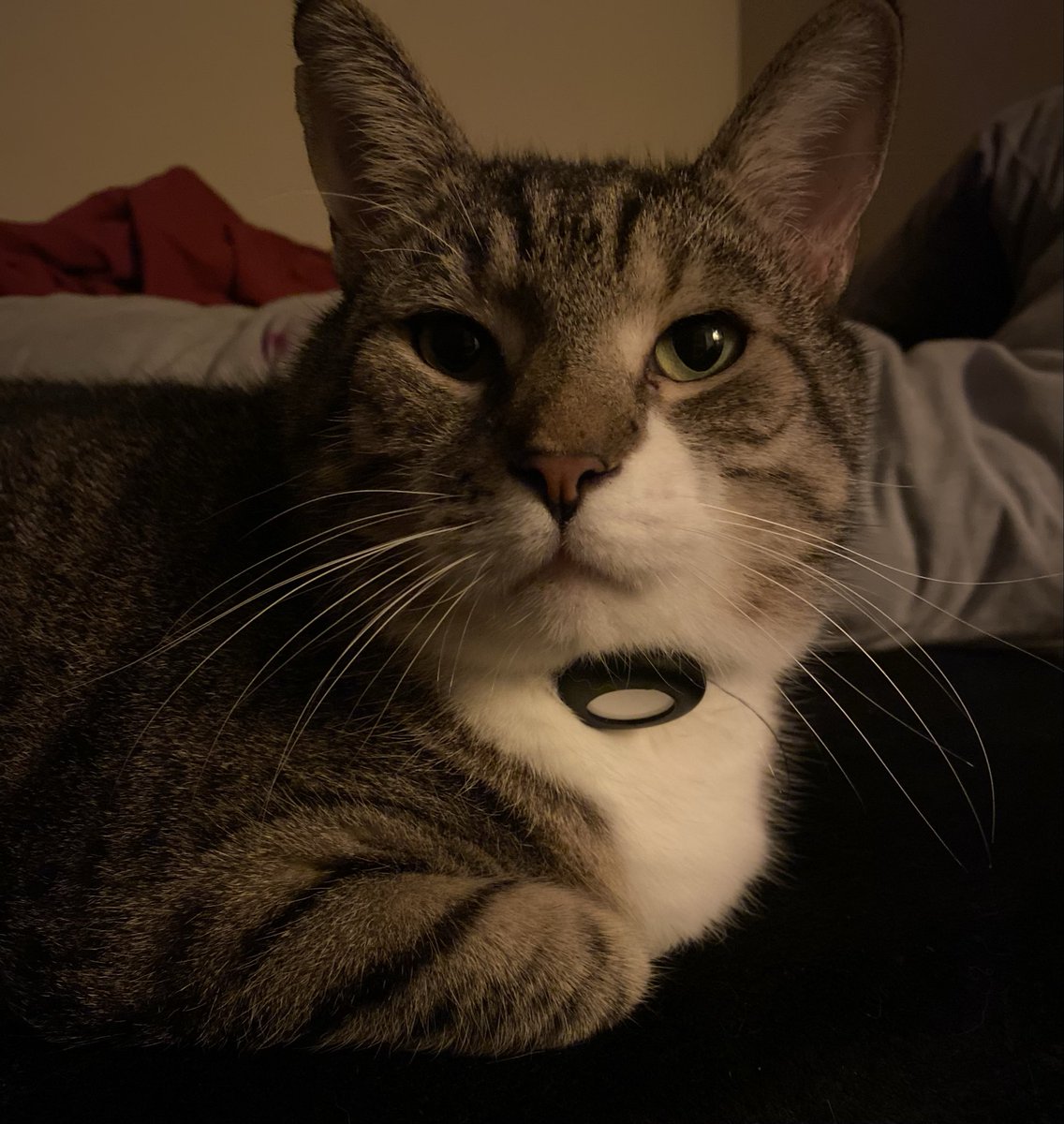 The man that has my heart: