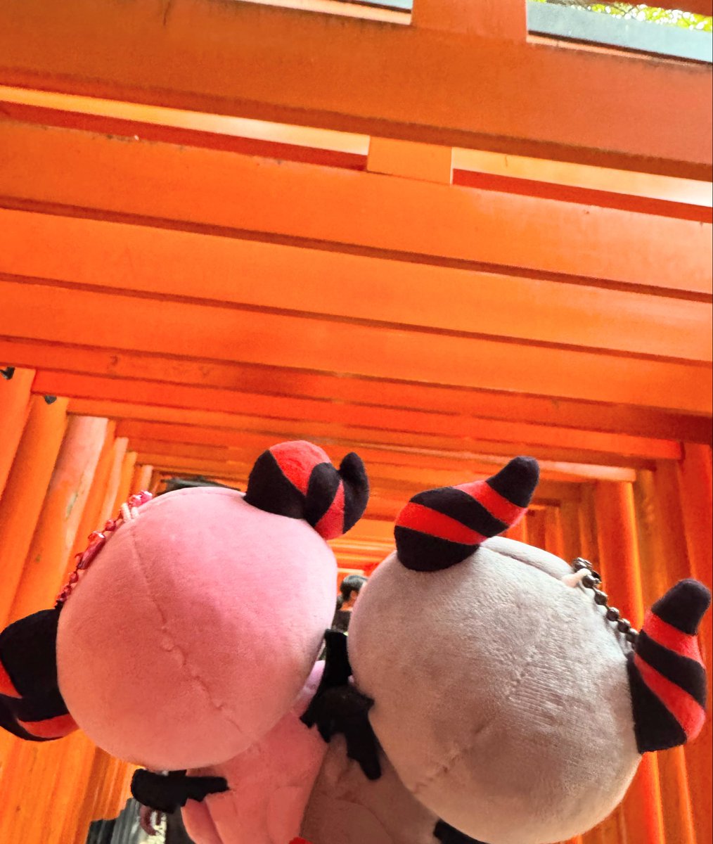 mii_yuu_snow's tweet image. 伏見稲荷へ参拝⛩️
千本鳥居初めて来たー嬉しい✨
#YUTA_PERSONA 
#YUTA_PERSONA_TOUR
