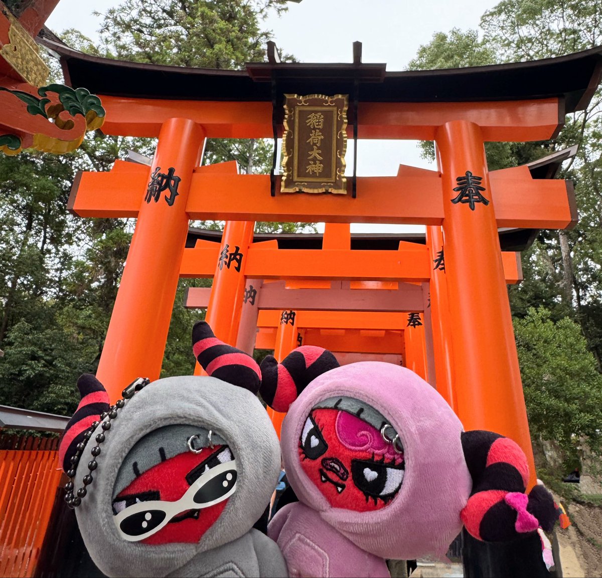 mii_yuu_snow's tweet image. 伏見稲荷へ参拝⛩️
千本鳥居初めて来たー嬉しい✨
#YUTA_PERSONA 
#YUTA_PERSONA_TOUR