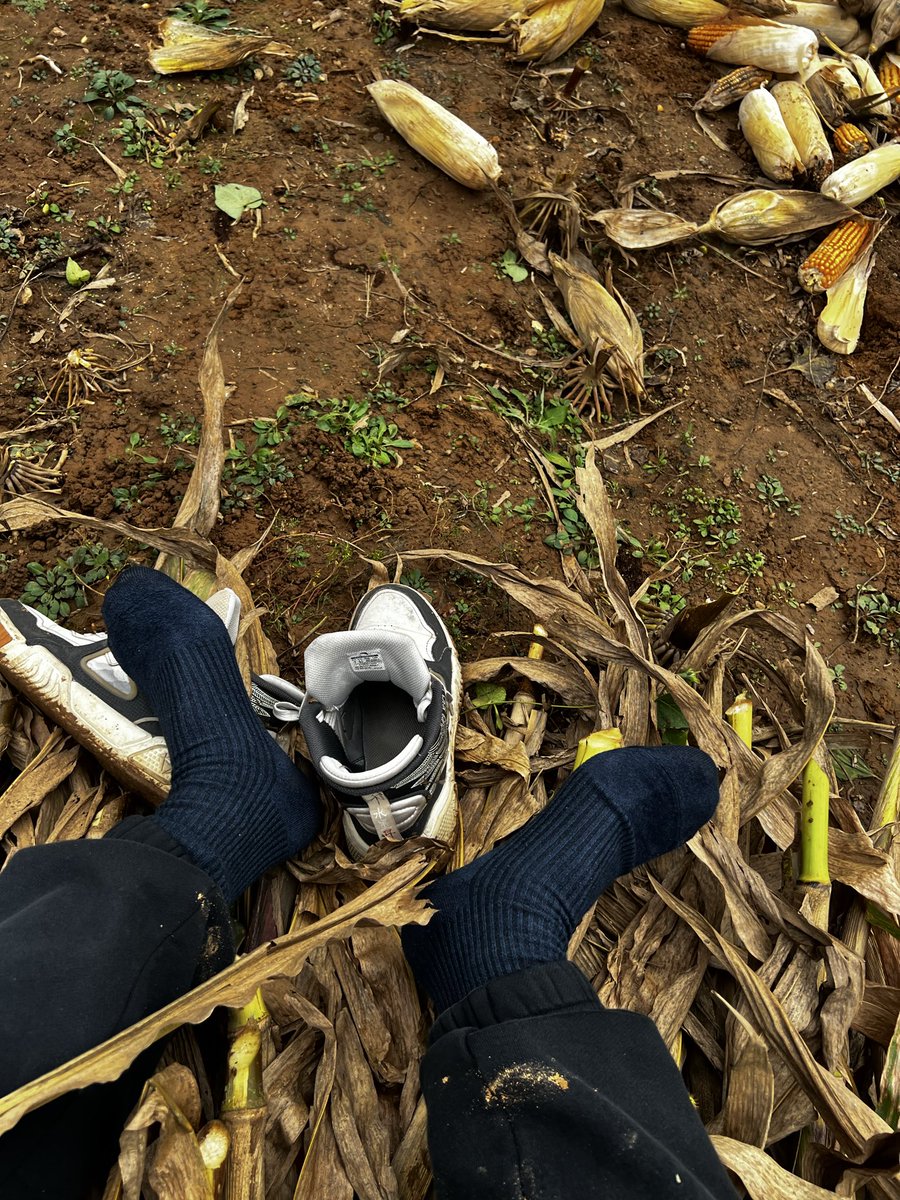 重脏熊臭黑袜小五叔S tweet media