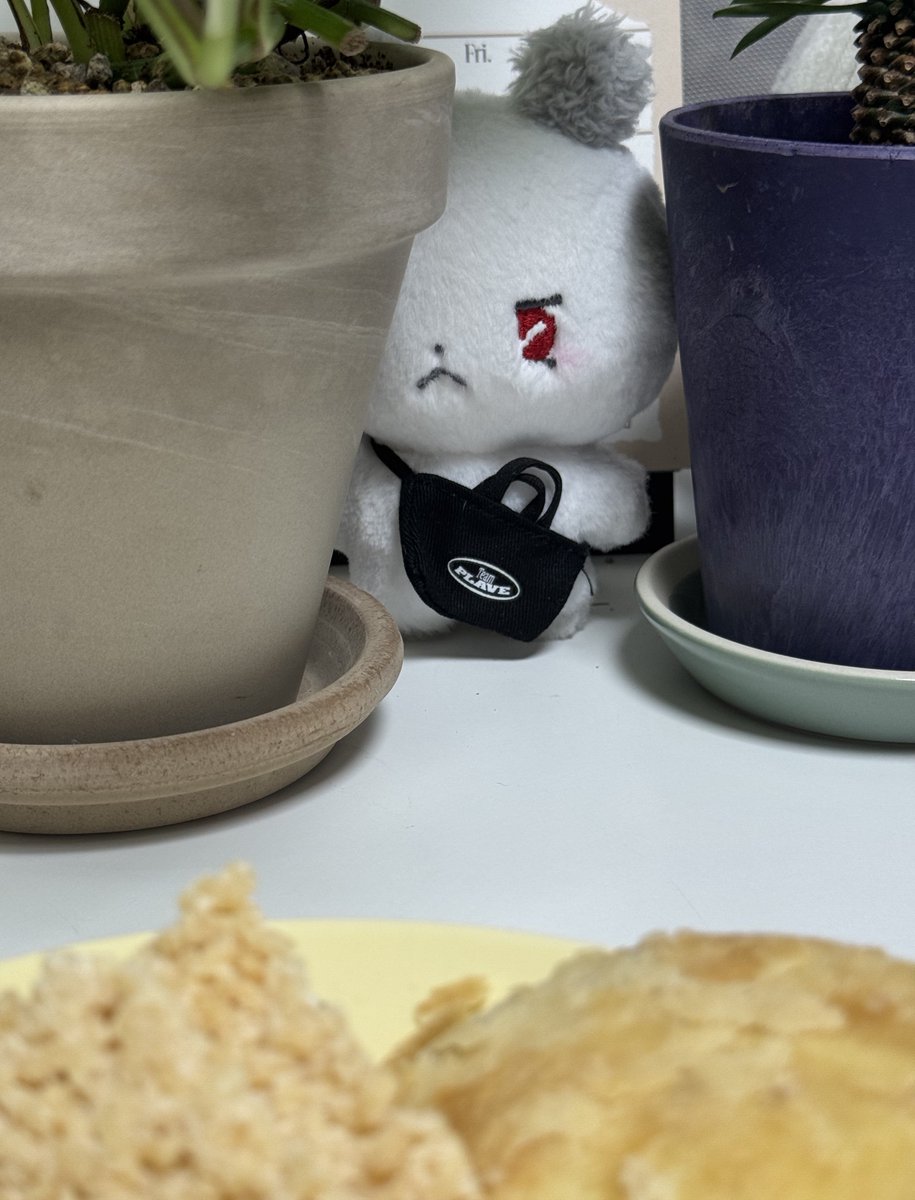 뭐먹을때 므모 옆에두면 재밌음