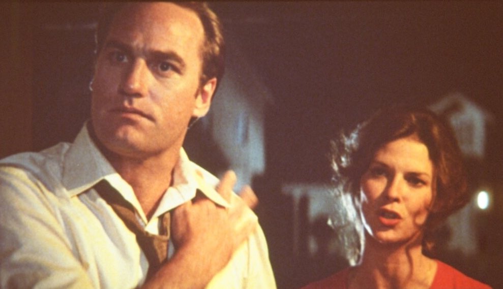 BeUtifulEnigma7's tweet image. Patrick Wilson in The Conjuring and Craig T. Nelson in Poltergeist: Same horror dad energy. 😭💀 Terrified, doing his best, protecting the fam… and failing spectacularly at ghost negotiations.
