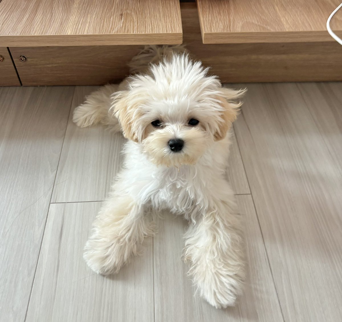 パパが起きるの待ってるけど、全然起きなくて眠くなってきちゃったぽて