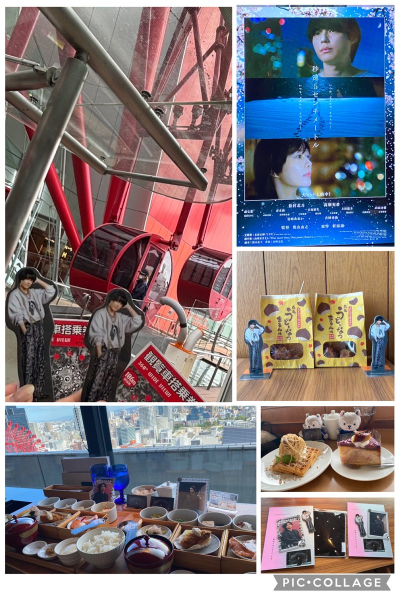 初日に観てきた🌸
ライブビューイングでのほっくん可愛すぎ🖤
観覧車乗って、うどーなつ食べて
ランチもおいしくて😋
映画はもう、感動でした
今まで観た映画の中で1番かも(ᵒ̴̶̷̥́_ᵒ̴̶̷̣̥̀ )❤︎
またすぐに観にいきたいな
🖤ちゃん、1日ありがとう!!♡