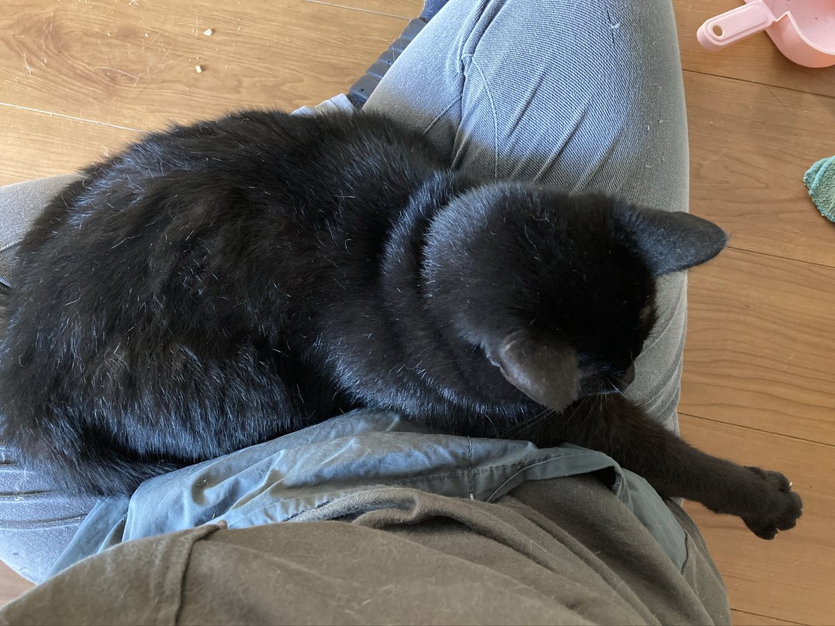 てんてん店長 (@fwnv3447) / Posts / X