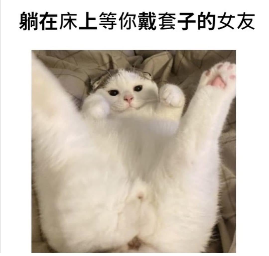 你們會暗戀一個人
暗戀到每晚自慰的時候
直接把枕頭棉被當作對方幹嗎？🌝 https://t.co/avv3RgNB9h