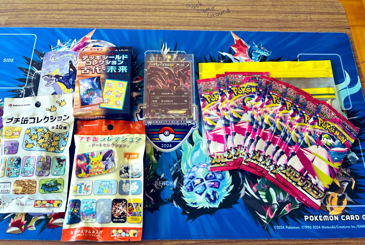 こはくに誕生日プレゼント🎂

三沢さん・たうさん・ケイさんありがとうございます😊