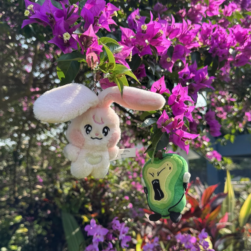 returnofjaemina's tweet photo. Firstfruit and Kkyuping enjoying the sunshine ☀️ https://t.co/BNDenC8BmZ
