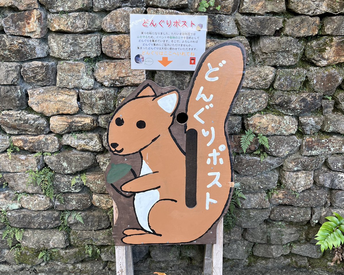 現在、当園では動物たちのエサやイベントで使用するためのどんぐりを
