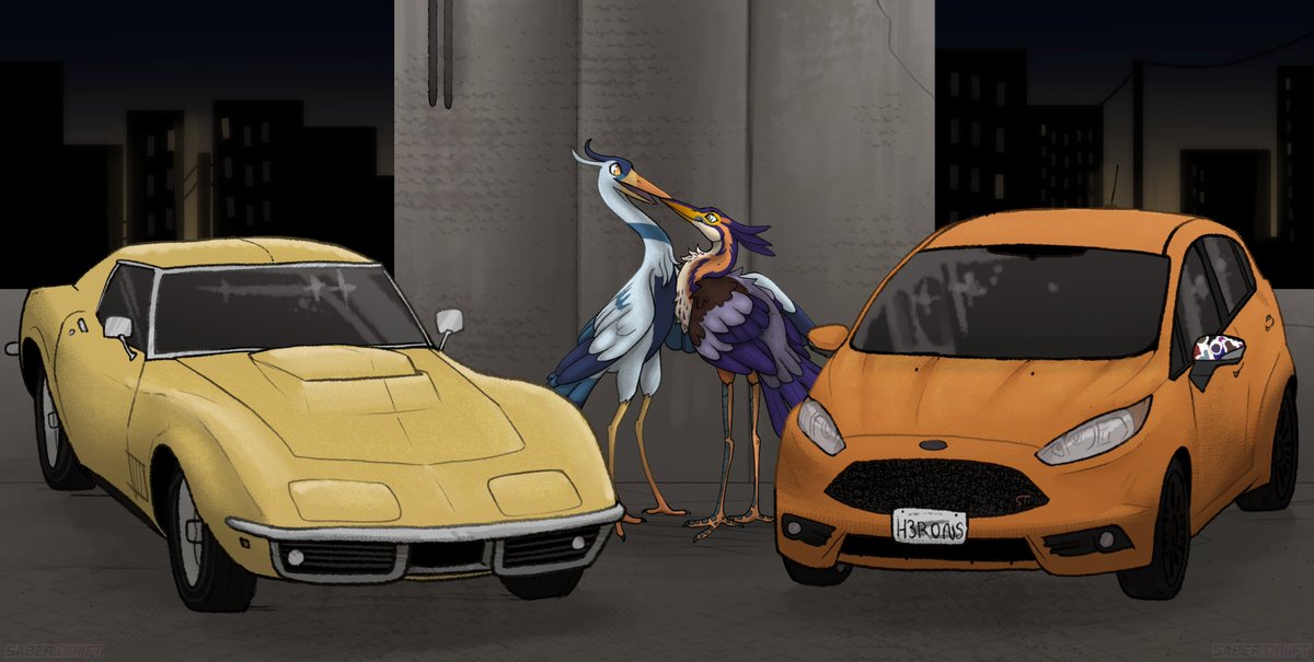 A couple of birds and their cars~