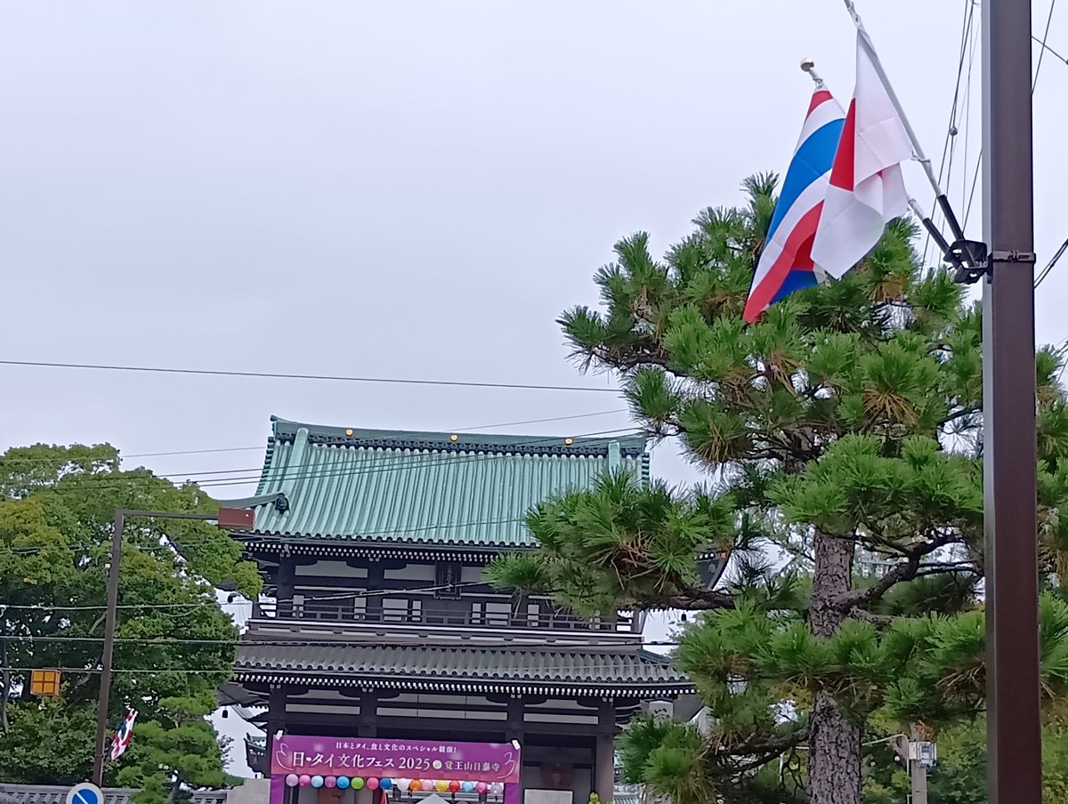 unyago8's tweet image. 10/12 #名古屋 #覚王山日泰寺
#日・タイ文化フェス
山門北では､イベントや飲食ブースで賑わっています💟｡
法話も有り✌️｡