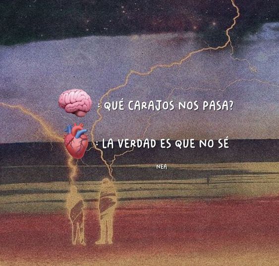 vibes (@vibesfyp) on Twitter photo 