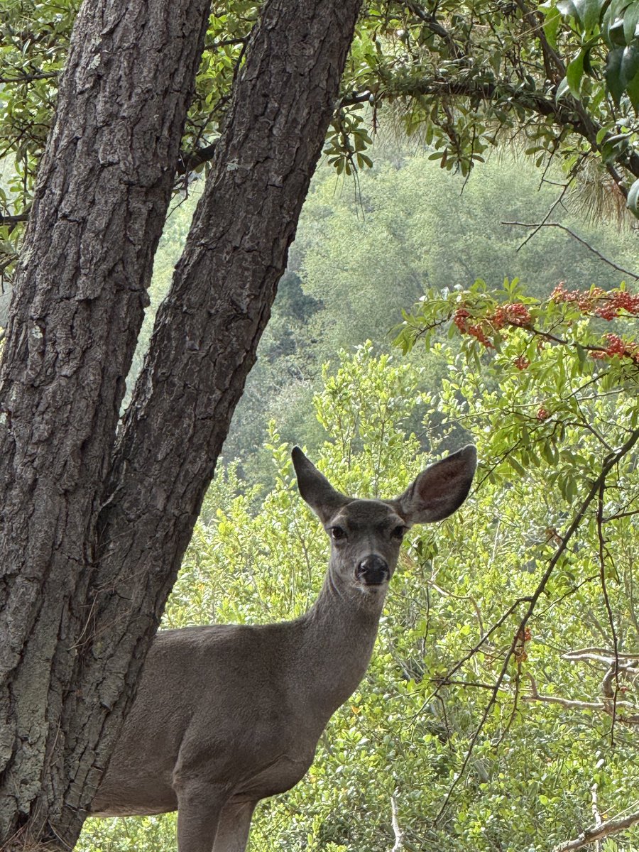 Neighbor