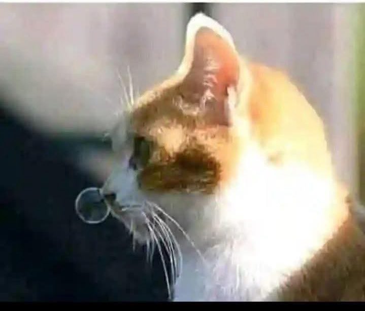 ٹھنڈ ہو گئی ہے 
اپنا خیال خود رکھیں 
لوگ آنسو صاف کر دیتے ہیں ناک نہیں