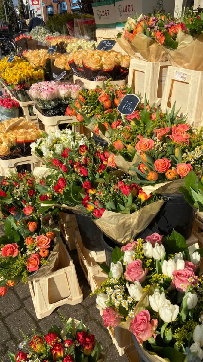 FLOWERS 🌺🌿 (@ophelia012) on Twitter photo 