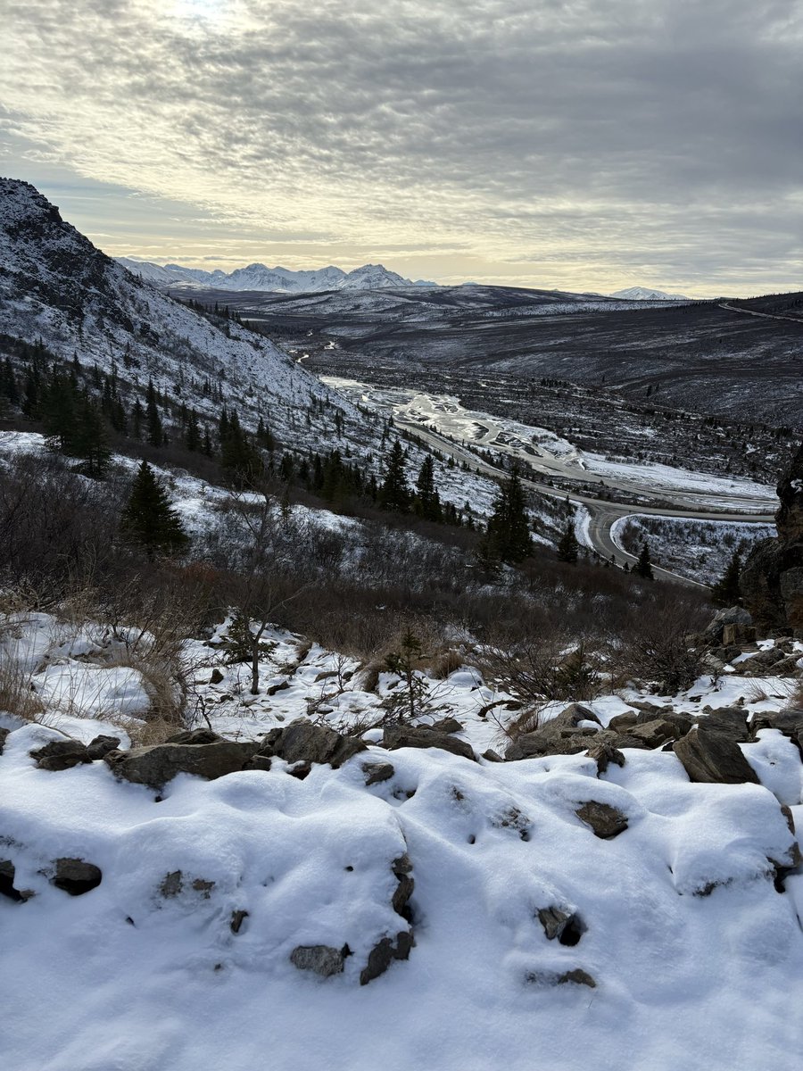 wil_court's tweet image. Some more #Denali. #Alaska