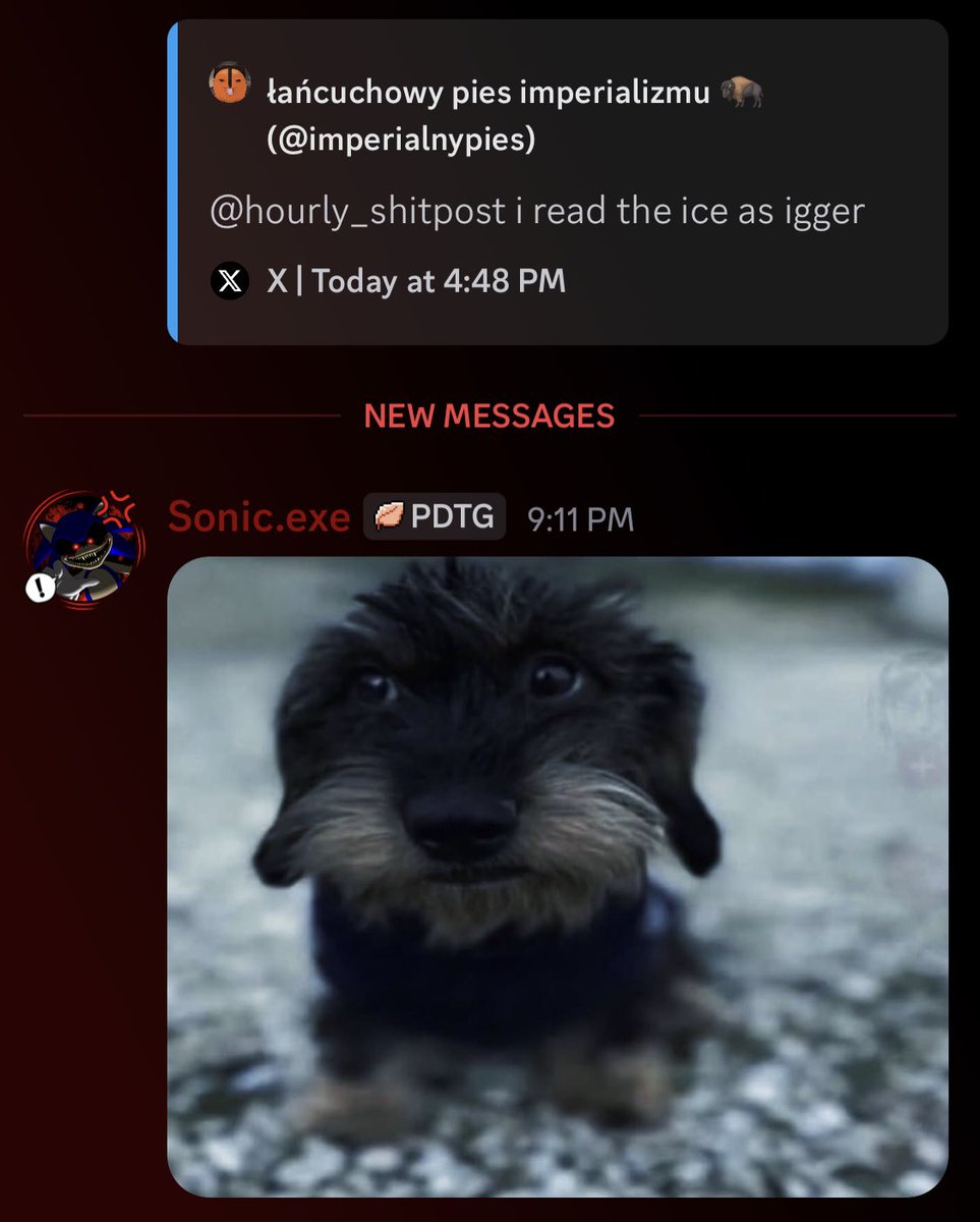 Silly_ServerOOC's tweet image. What in the niddy nlud