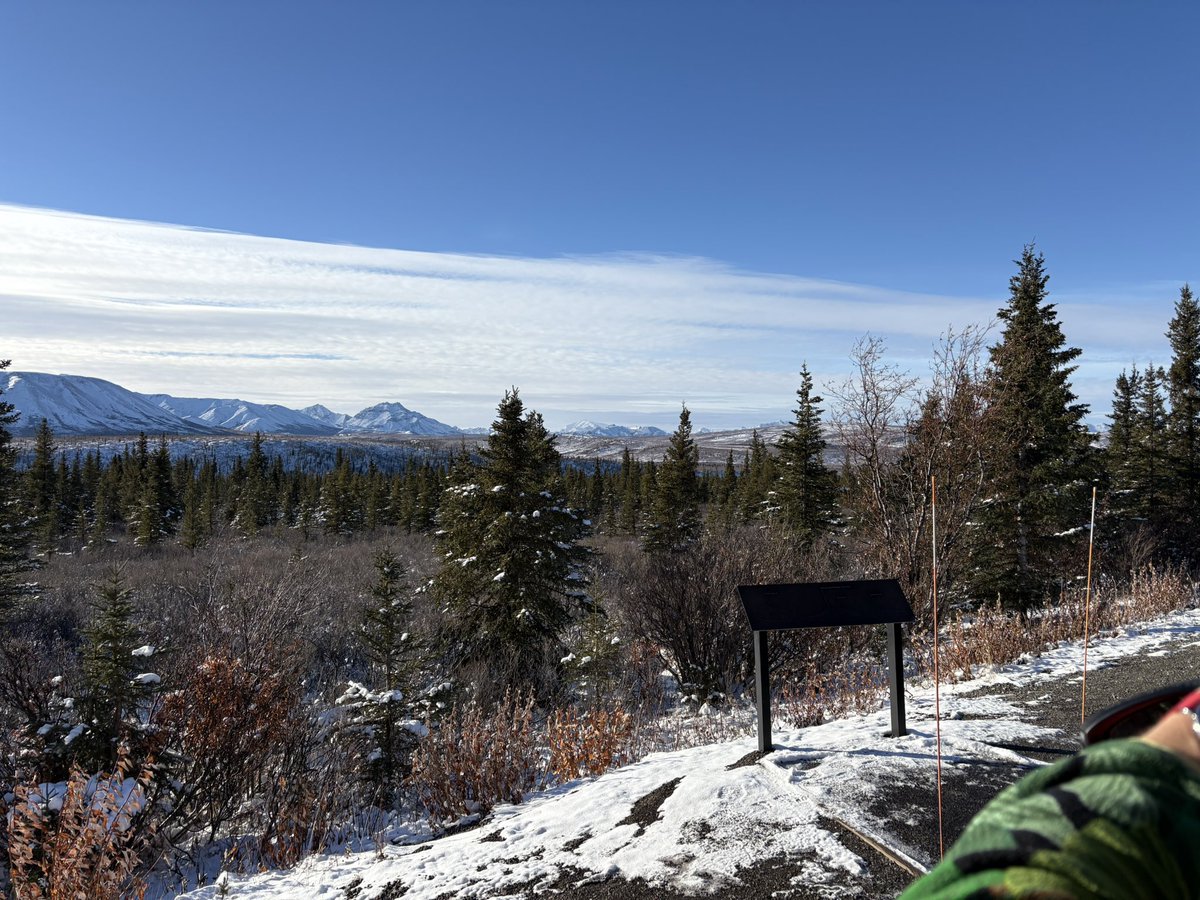wil_court's tweet image. Hello, 30% club. #Alaska #Denali