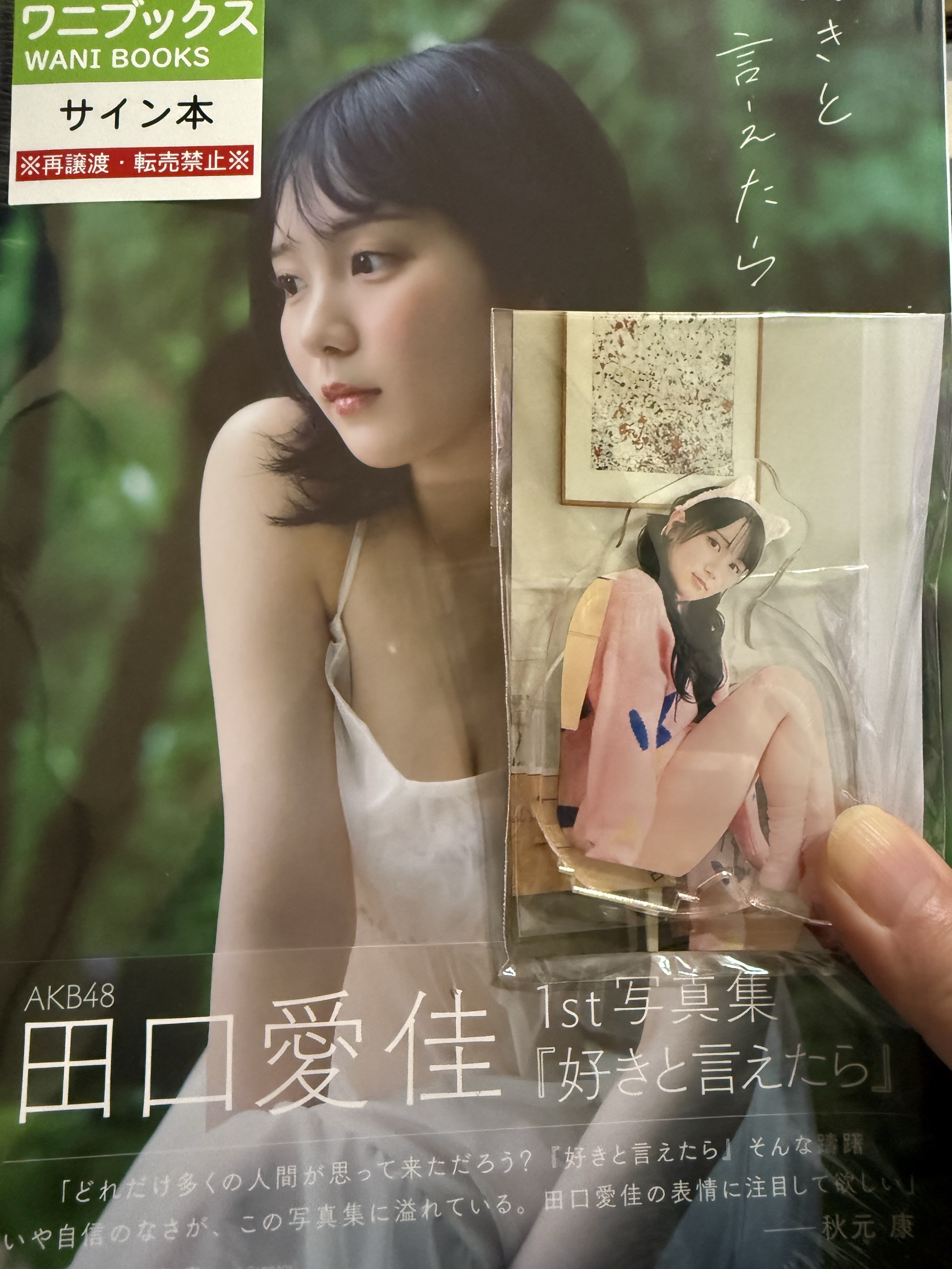 ほりすすむ on X: 