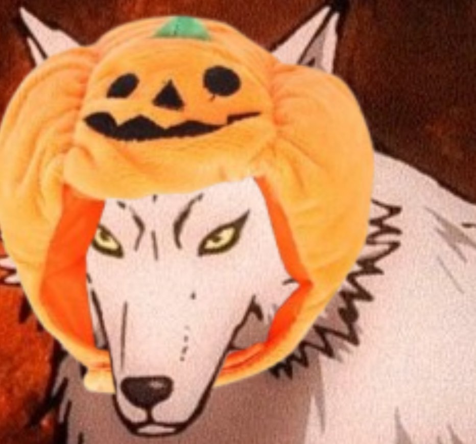 🤍Pumpkinnnnn