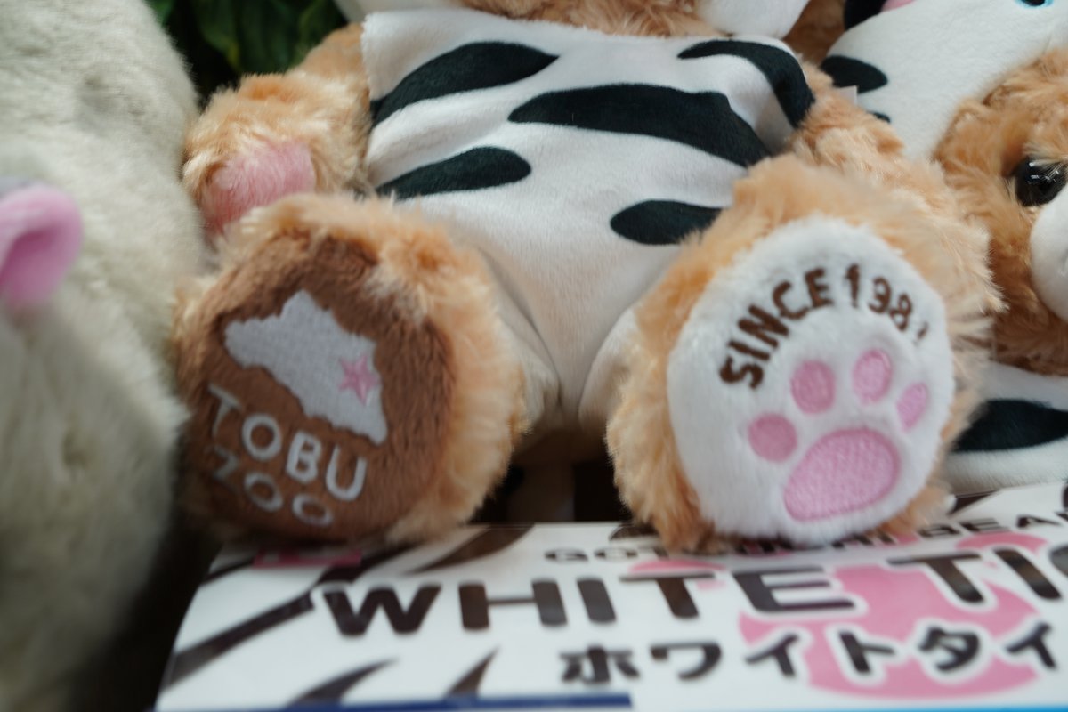 【新商品】東武動物公園ホワイトタイガー×ご当地ベア

待望の東武動物公園限定のご当地ベアが登場しました🧸
📍ショップ「フラワーポット
📍4,620円(税込)

※ショップの営業時間は季節より異なります。公式HPをご確認ください。

ご当地ベアについて👇
fujisey.com/gotouchibear/

#東武動物公園