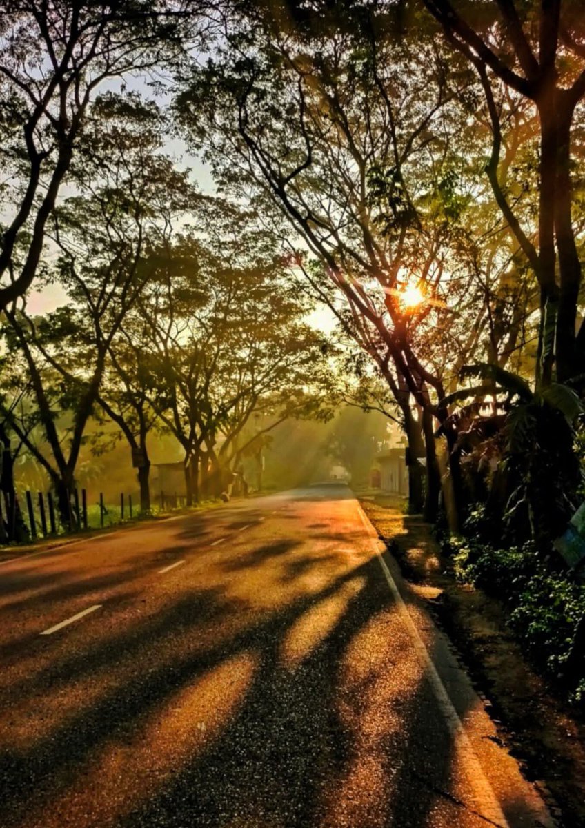 Raima__nor's tweet image. সকাল বেলার আলো