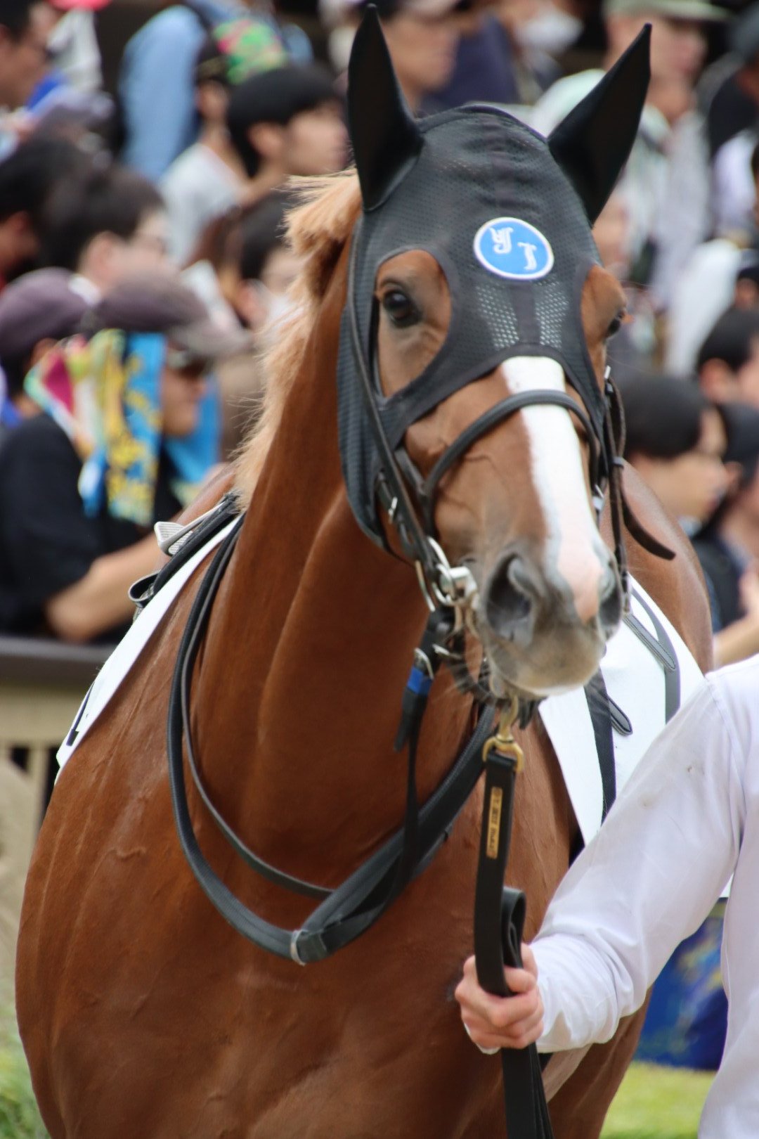 norauma (@norauma5) / X