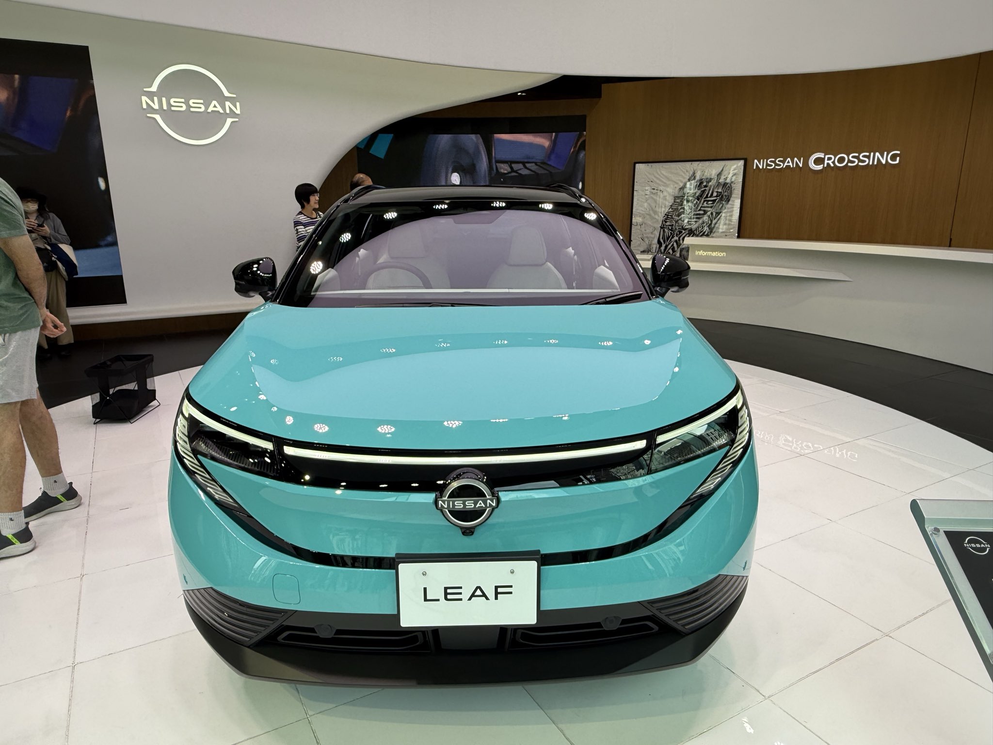 リーフィア X Yahoo!オークション -「リーフィア lv.x」の落札相場