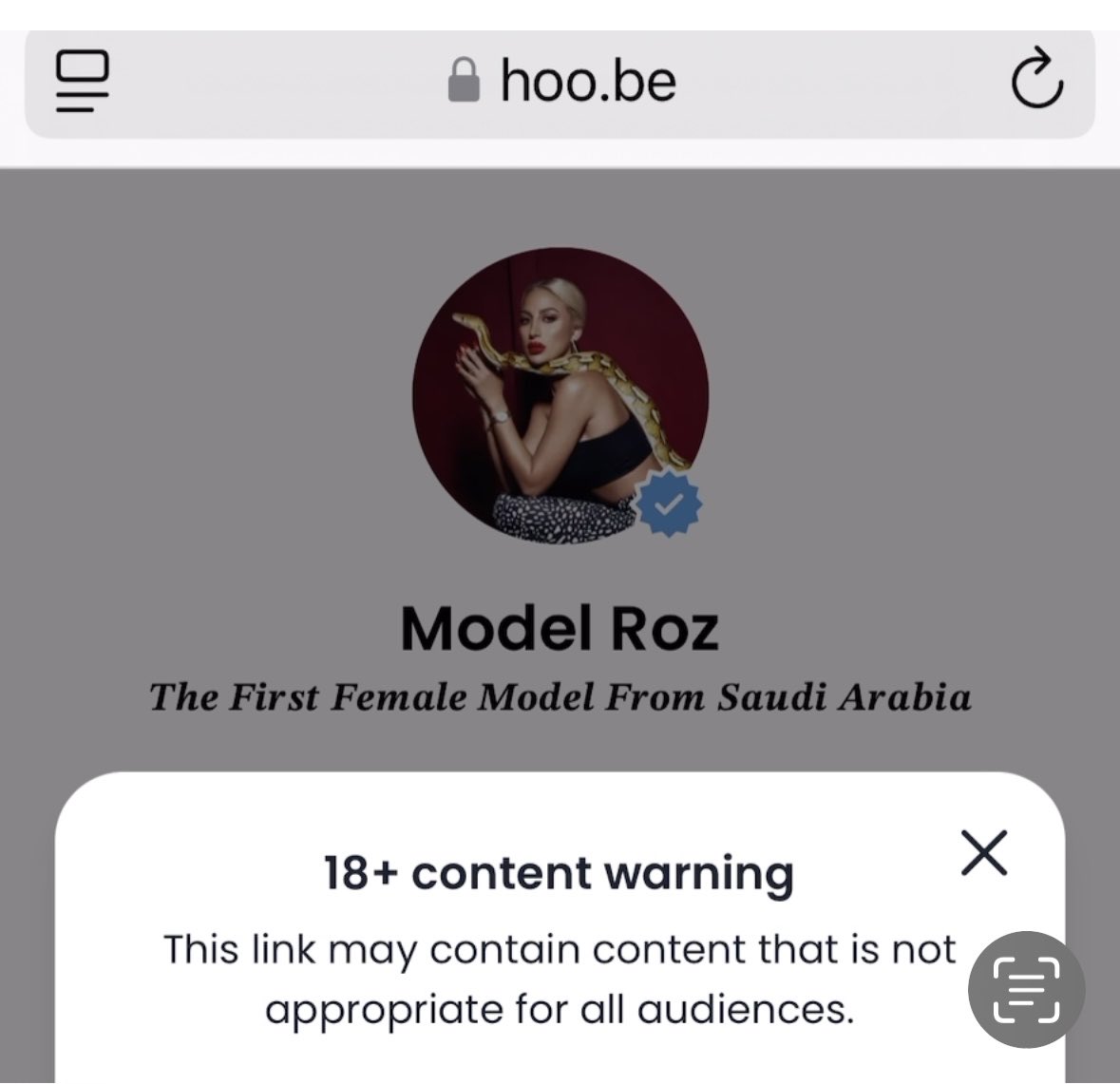 Tweet media one
