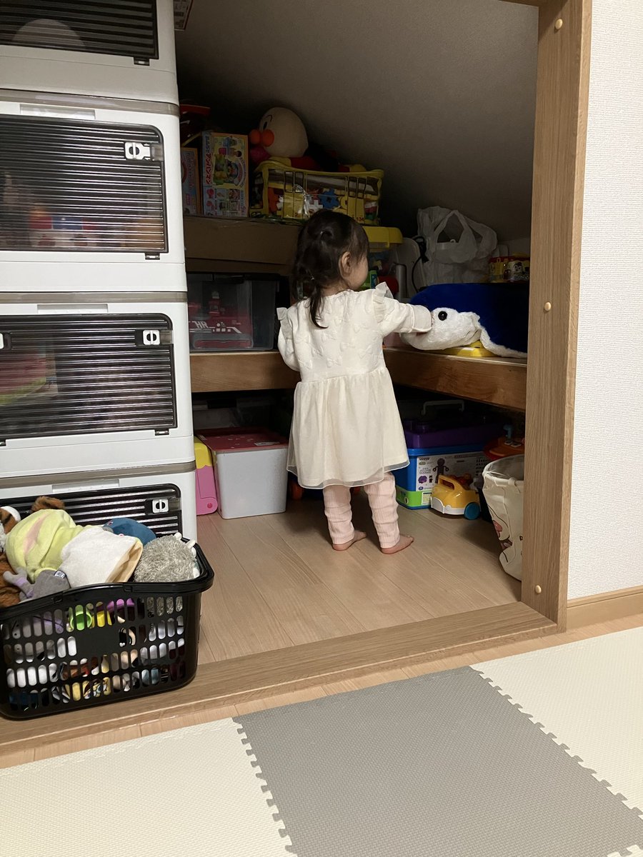 👶あたちの秘密基地🤫
#全部お嬢のおもちゃ
#もちろん入り切ってないよ
#おいこの子ラストチルドレンだぞどうすんねん